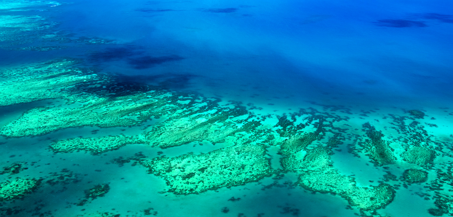 Unesco image - the Great Barrier Reef